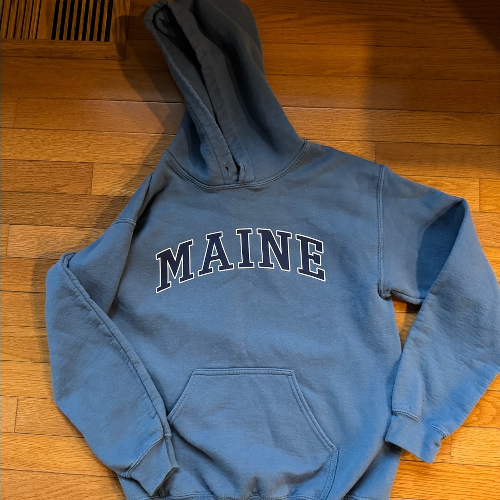 Gildan Heavy Blend Blue Hoodie